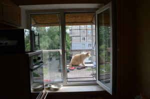 Вольер для кота. На окно.