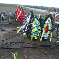 Волна
